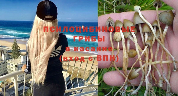 твердый Вязники