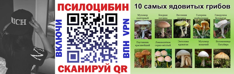hydra ONION Муром Псилоцибиновые грибы мицелий