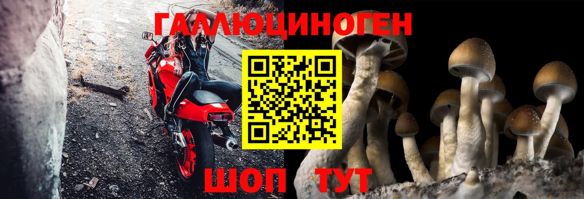 Галлюциногенные грибы Magic Shrooms Муром