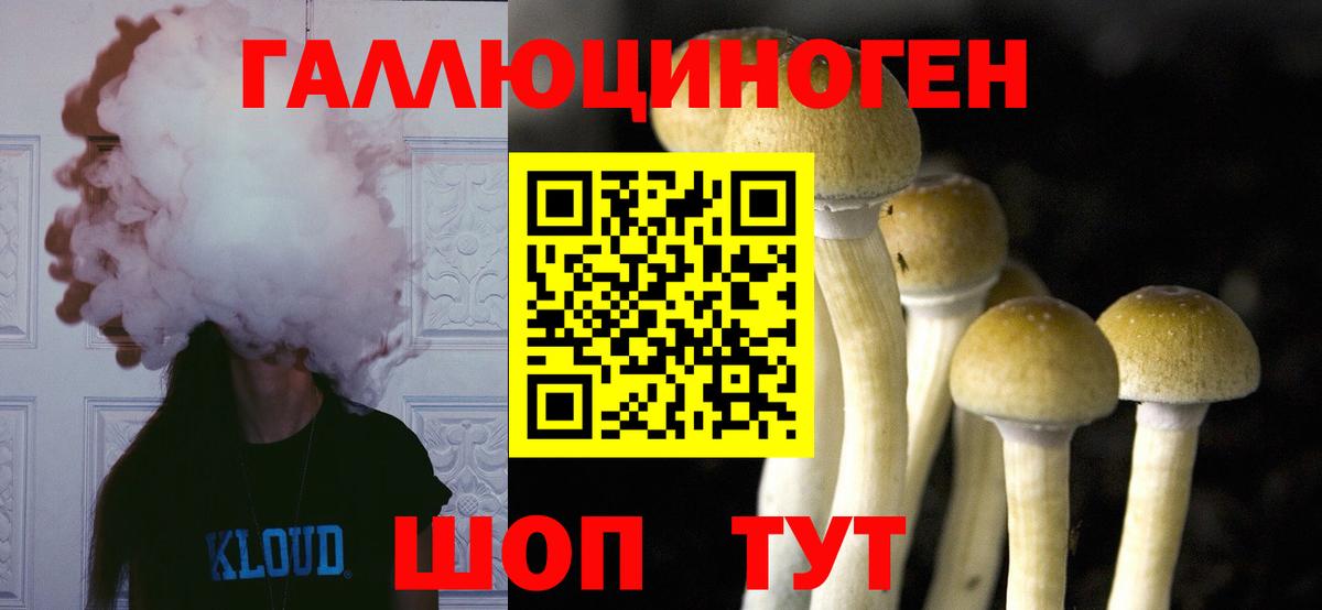 Галлюциногенные грибы Magic Shrooms  Псилоцибиновые грибы GOLDEN TEACHER  Муром  где купить наркотик  Вход с VPN 